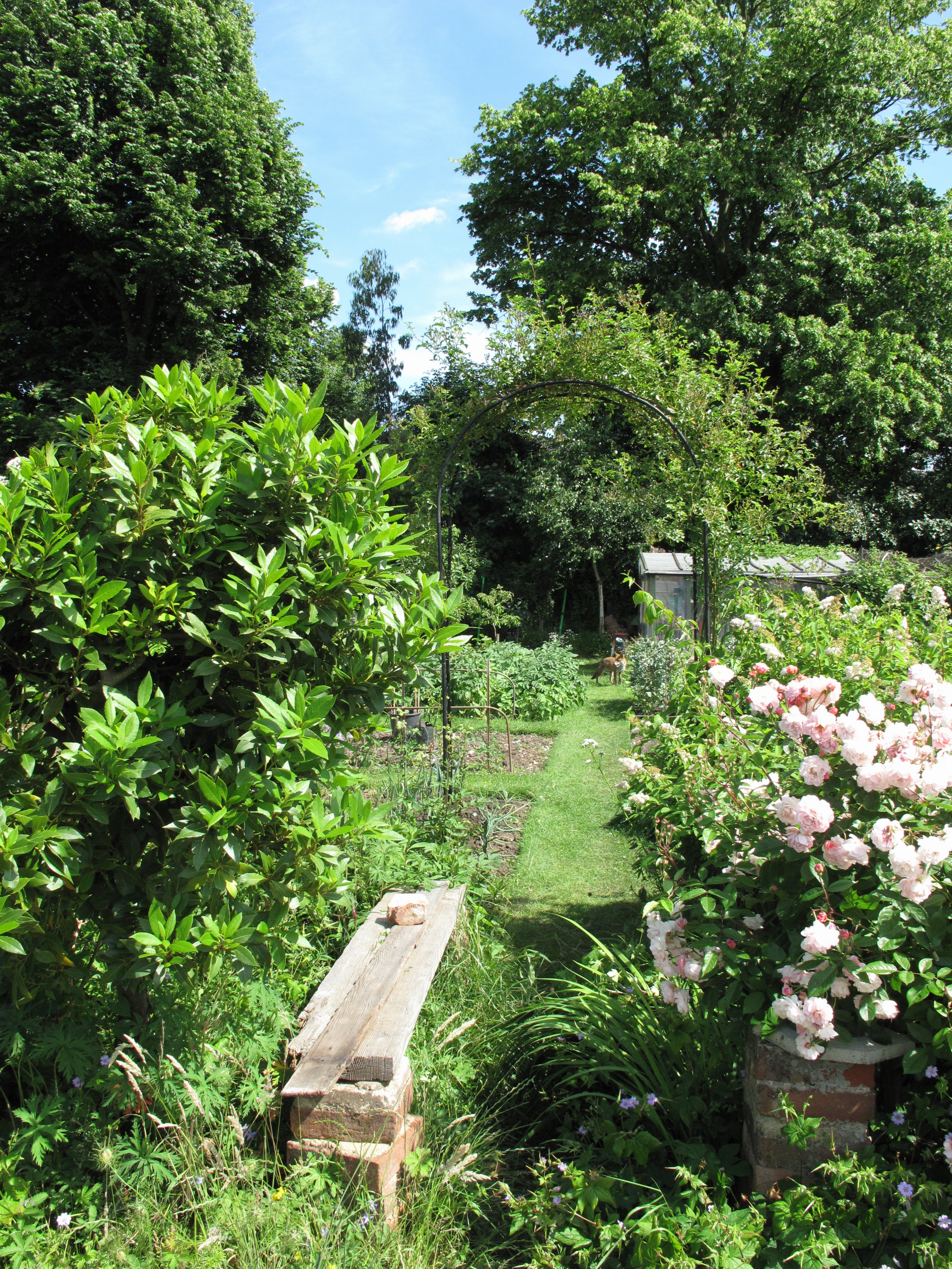 IMG_8919